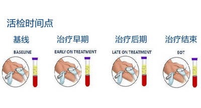 治疗期间不同时间点活检