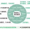 什么是靶向治疗？哪些患者适合靶向治疗？我能用靶向治疗吗？