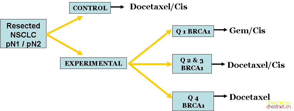 schema.png