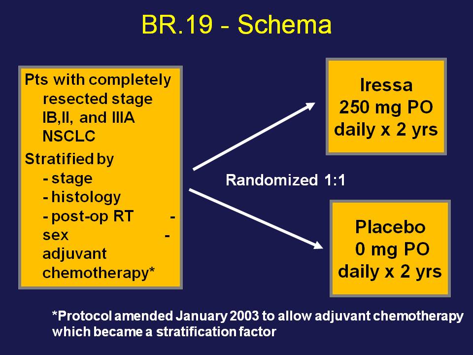 br19-schema.jpg