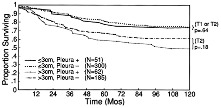 Incidence of local recurrence and second primary tumors in resected stage I lung.gif