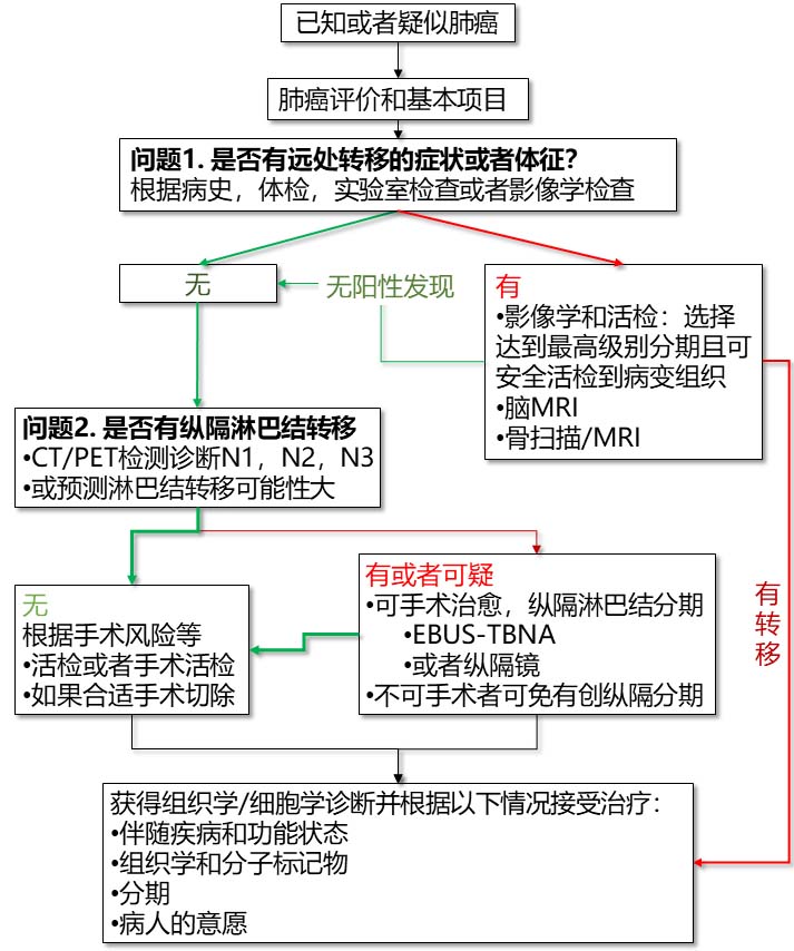1-疑似肺癌的分期流程-2.jpg