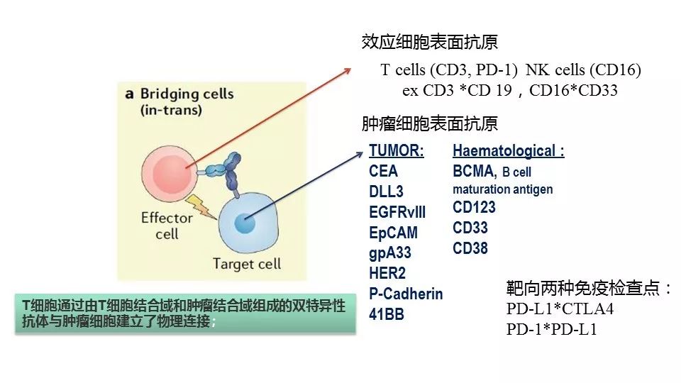 weixin-mpimg-get.html?id=0&fid=11&url=http%3A%2F%2Fmmbiz.qpic.cn%2Fmmbiz_jpg%2FP5kZfqfjU6nwnxjfhs3IcPVvEONJPAfG1bY8vziapLg6RhEt0S5WniadJl2F24groh7smtAnPml3OBCUmibwp9P8w%2F640%3Fwx_fmt%3Djpeg%26amp%3Btp%3Djpg%26amp%3Bwxfrom%3D5%26amp%3Bwx_lazy%3D1