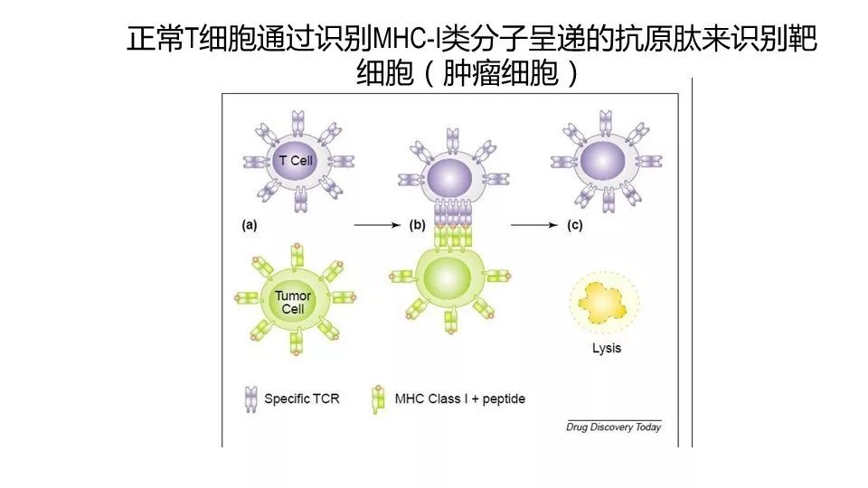 weixin-mpimg-get.html?id=0&fid=11&url=http%3A%2F%2Fmmbiz.qpic.cn%2Fmmbiz_jpg%2FP5kZfqfjU6nwnxjfhs3IcPVvEONJPAfGMUrDR2icIic8r1ukooClruvnYZ1QibeL5cRvNpG0cOucWc4DQu0DkOvWA%2F640%3Fwx_fmt%3Djpeg%26amp%3Btp%3Djpg%26amp%3Bwxfrom%3D5%26amp%3Bwx_lazy%3D1