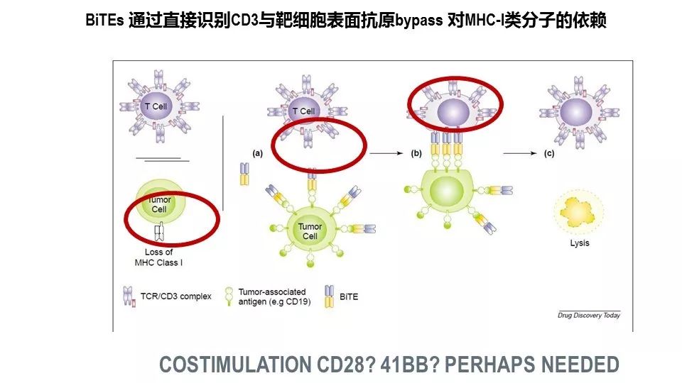 weixin-mpimg-get.html?id=0&fid=11&url=http%3A%2F%2Fmmbiz.qpic.cn%2Fmmbiz_jpg%2FP5kZfqfjU6nwnxjfhs3IcPVvEONJPAfGfpGv1KaQwZFVh9FemZJ7zeUNRvX7ickYibLvHTWINHobmnRBU90Aa7PA%2F640%3Fwx_fmt%3Djpeg%26amp%3Btp%3Djpg%26amp%3Bwxfrom%3D5%26amp%3Bwx_lazy%3D1