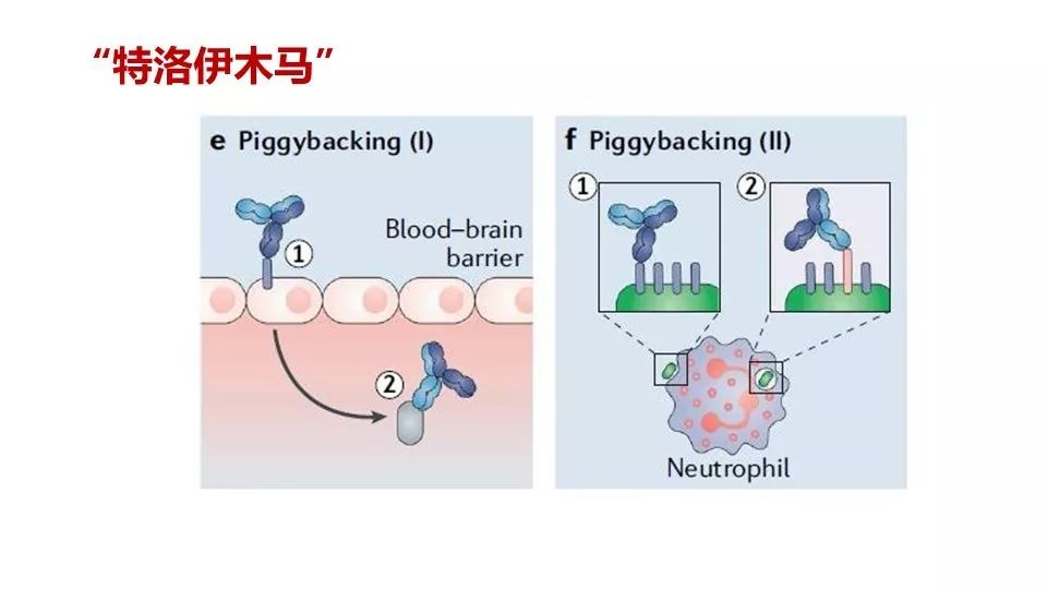 weixin-mpimg-get.html?id=0&fid=11&url=http%3A%2F%2Fmmbiz.qpic.cn%2Fmmbiz_jpg%2FP5kZfqfjU6nwnxjfhs3IcPVvEONJPAfGGx6nNRAzg2XuwMxJduMS3fpiaEkcQ9KPaujfNgF3mLoonwQNMzZOibicQ%2F640%3Fwx_fmt%3Djpeg%26amp%3Btp%3Djpg%26amp%3Bwxfrom%3D5%26amp%3Bwx_lazy%3D1