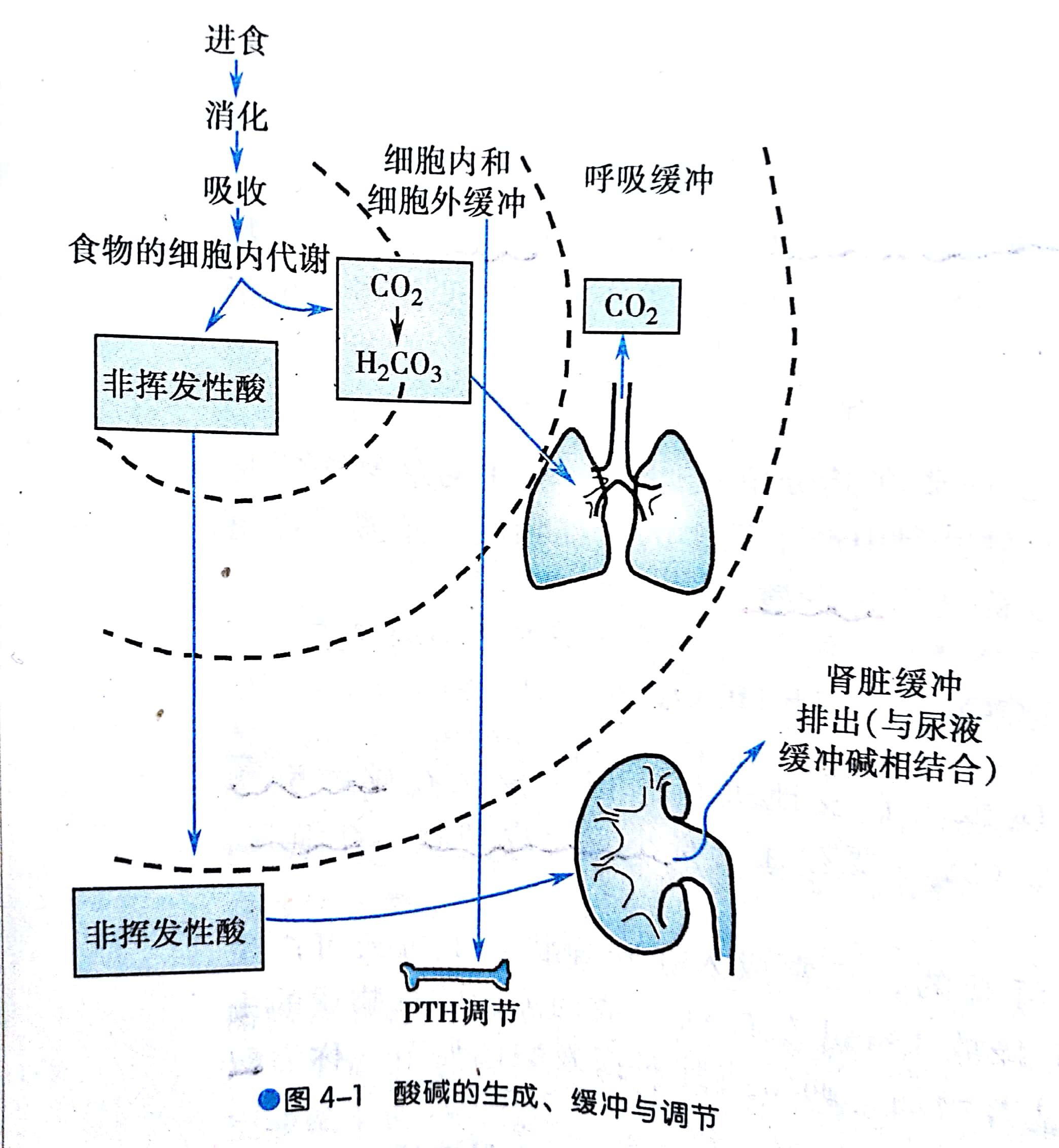 pDm1dezCRE11N111.jpg