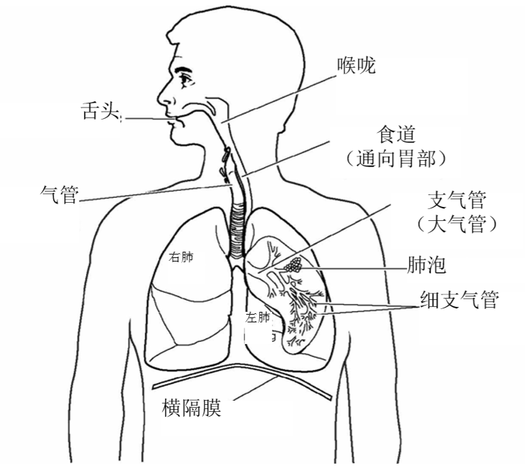 截图202102131529269199..png