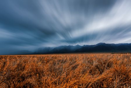 摄图网_500710608_青海湖秋景（企业商用）.jpg