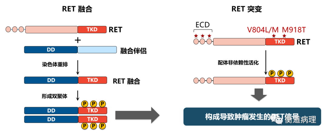 194629zsh0012lt62kti6y.png