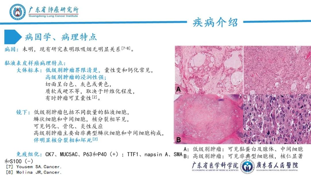 b179fcea9b41e98bd19d3b8bae93e730.jpg