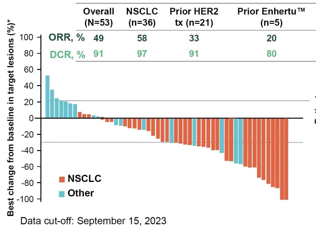 Beamion LUNG-1：Zongertinib治疗携带HER2（ERBB2）激活突变且既往接受过系统治疗的不可切除或转移性非小细胞肺癌-1.png