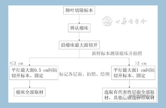59fdcd915c28e21b2ddc3de3c3c5ab89.png