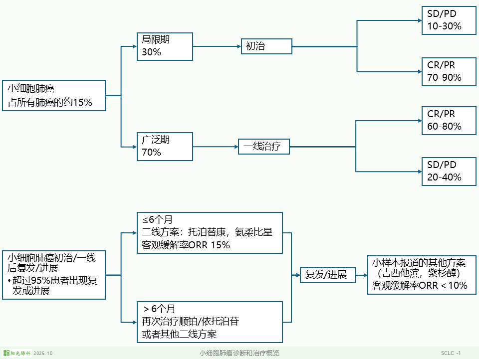 sclc07.png