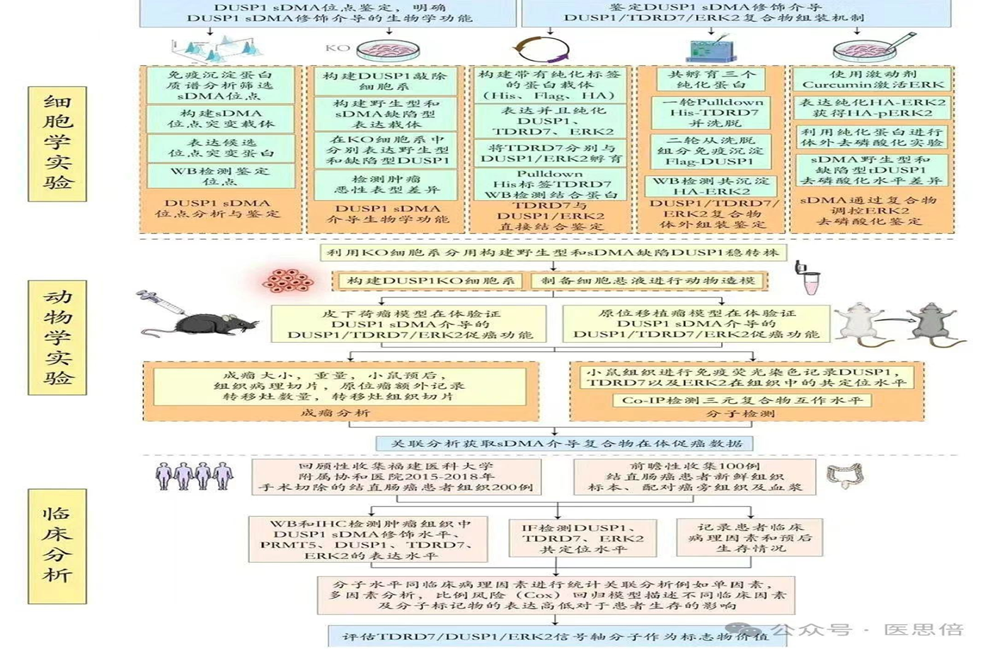 基金的写作：技术路线图-2.png