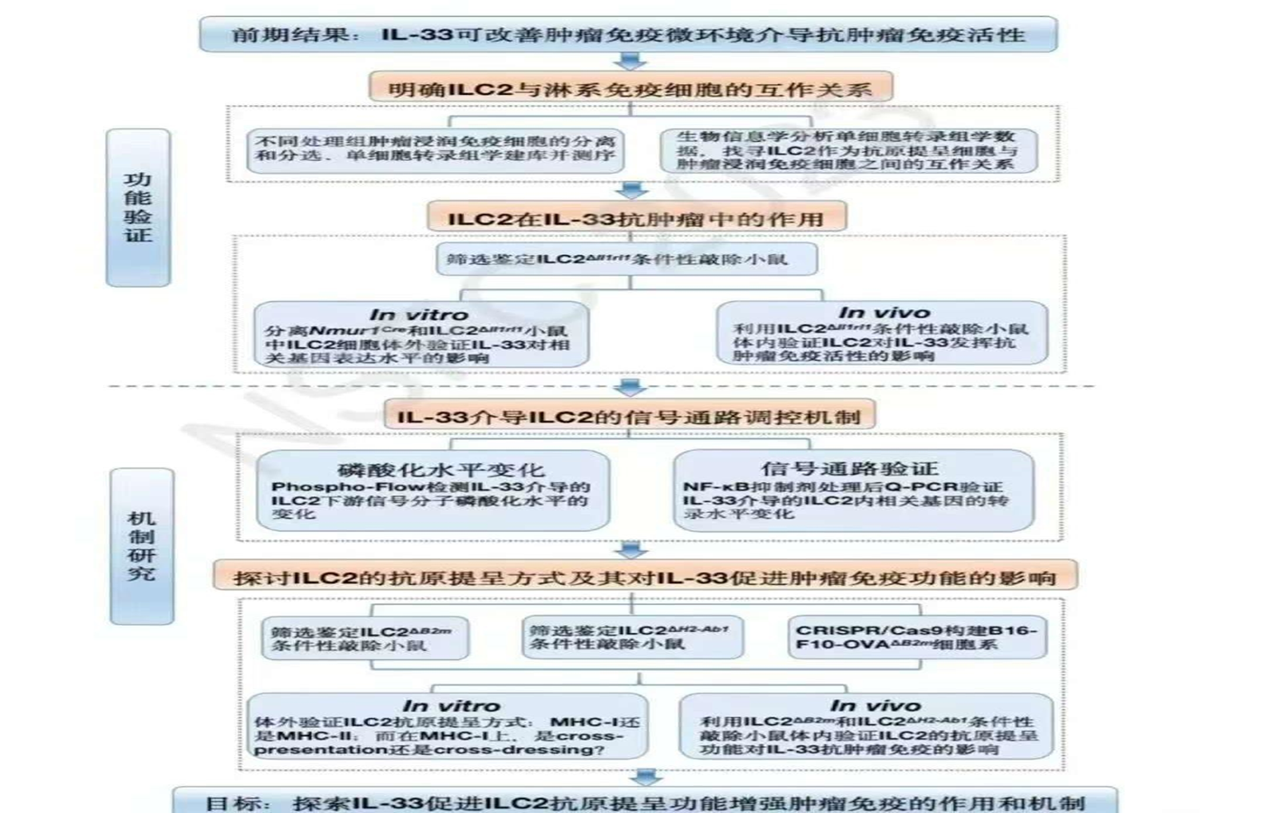 基金的写作：技术路线图-1.png